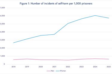 Self-harm stats release 1