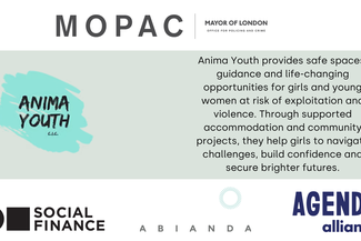 Anima Youth CIC