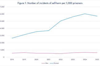 Self-harm stats release 1