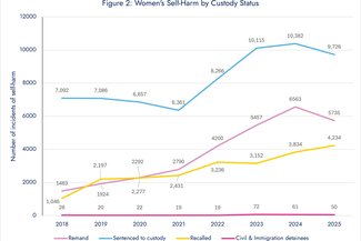 Self-harm stats release 2